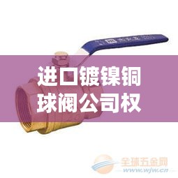 进口镀镍铜球阀公司权威排名榜单揭晓
