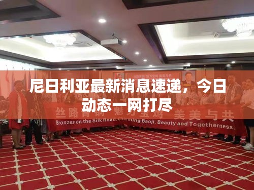尼日利亚最新消息速递，今日动态一网打尽
