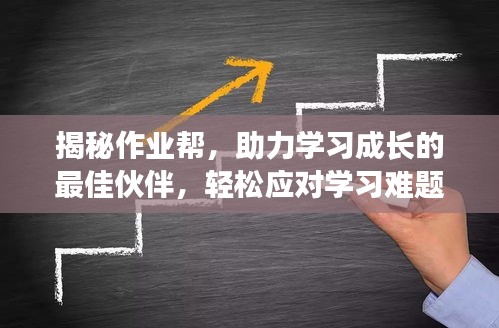 公司简介 第28页