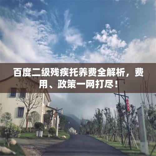 百度二级残疾托养费全解析，费用、政策一网打尽！