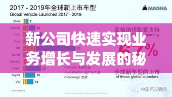 新公司快速实现业务增长与发展的秘诀！