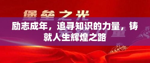 小家碧玉