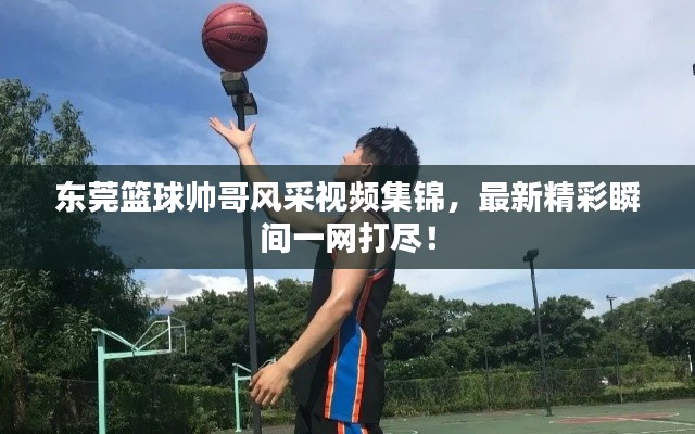 东莞篮球帅哥风采视频集锦，最新精彩瞬间一网打尽！