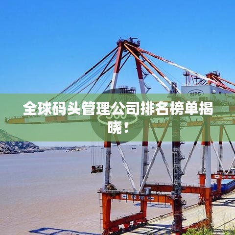全球码头管理公司排名榜单揭晓！