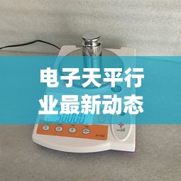明目张胆