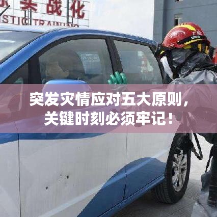 突发灾情应对五大原则，关键时刻必须牢记！