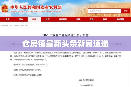仓房镇最新头条新闻速递