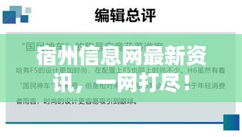 宿州信息网最新资讯，一网打尽！