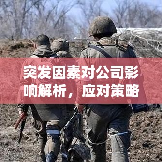 突发因素对公司影响解析，应对策略与机遇转化之道