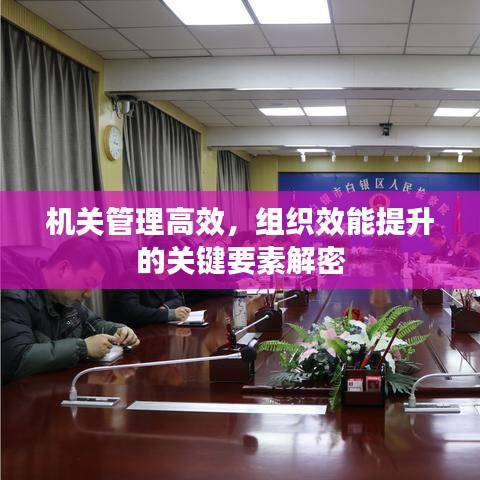 天生丽质