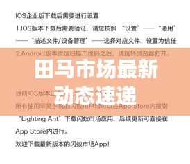 田马市场最新动态速递