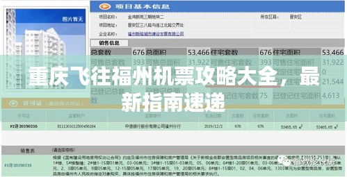 重庆飞往福州机票攻略大全，最新指南速递