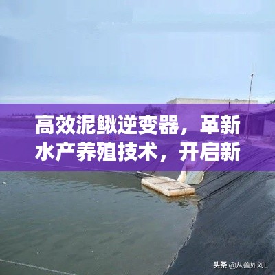 高效泥鳅逆变器，革新水产养殖技术，开启新时代篇章