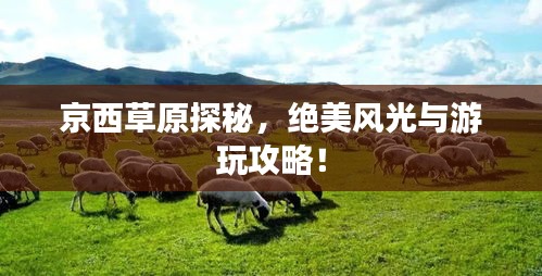 2025年4月 第139页
