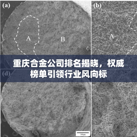 重庆合金公司排名揭晓，权威榜单引领行业风向标