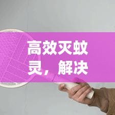 高效灭蚊灵，解决蚊虫烦恼，守护您的健康生活