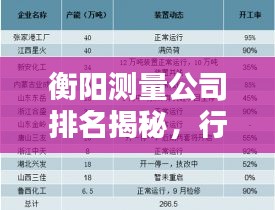 衡阳测量公司排名揭秘，行业深度分析与评估