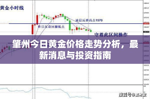 肇州今日黄金价格走势分析，最新消息与投资指南