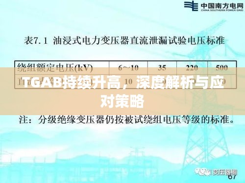 TGAB持续升高，深度解析与应对策略