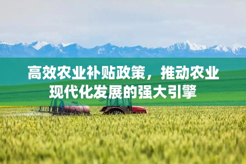 高效农业补贴政策，推动农业现代化发展的强大引擎