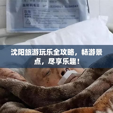 沈阳旅游玩乐全攻略，畅游景点，尽享乐趣！