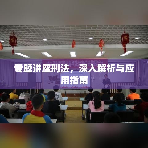 专题讲座刑法，深入解析与应用指南