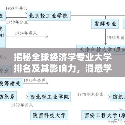 揭秘全球经济学专业大学排名及其影响力，洞悉学术权威与就业前景！