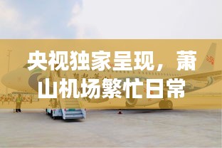 央视独家呈现，萧山机场繁忙日常背后的独特魅力