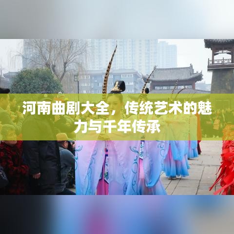 河南曲剧大全，传统艺术的魅力与千年传承