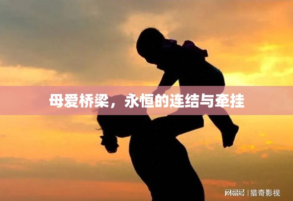 厂房环境 第13页