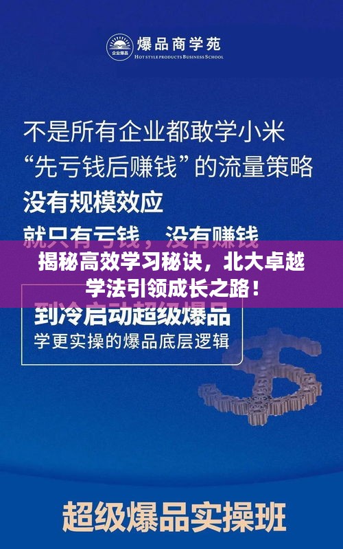 揭秘高效学习秘诀，北大卓越学法引领成长之路！