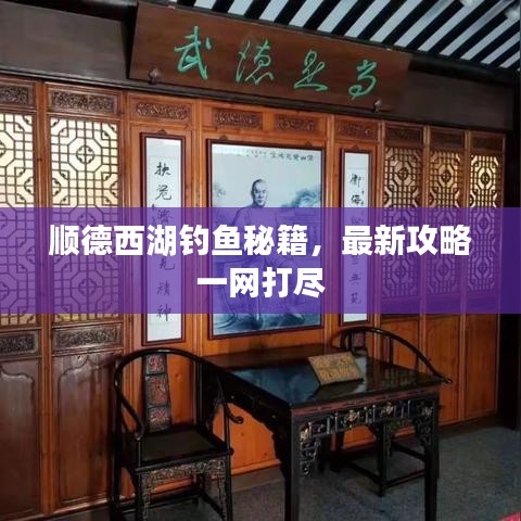 顺德西湖钓鱼秘籍，最新攻略一网打尽