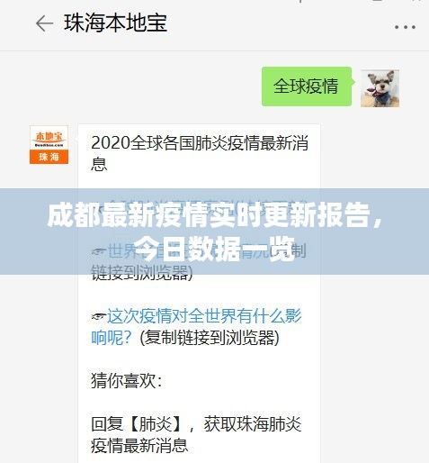 成都最新疫情实时更新报告，今日数据一览