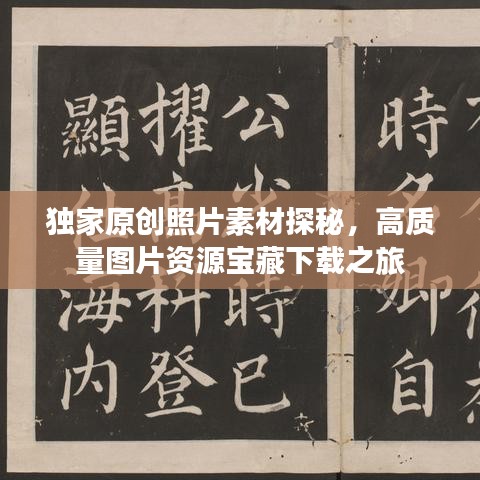 独家原创照片素材探秘，高质量图片资源宝藏下载之旅
