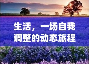 生活，一场自我调整的动态旅程