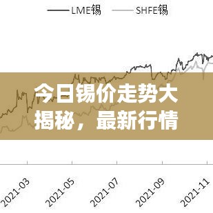 今日锡价走势大揭秘，最新行情与成品市场动态全解析