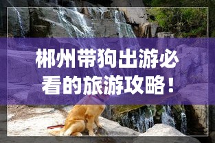 郴州带狗出游必看的旅游攻略！