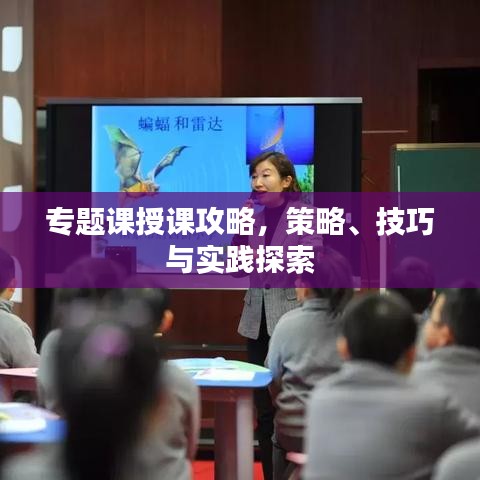 专题课授课攻略，策略、技巧与实践探索