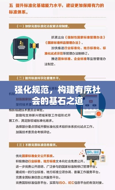 强化规范，构建有序社会的基石之道