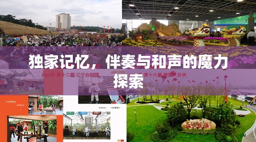 独家记忆，伴奏与和声的魔力探索