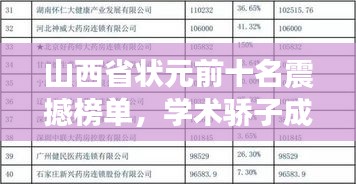 山西省状元前十名震撼榜单，学术骄子成就非凡之路