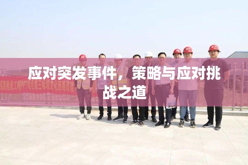 应对突发事件，策略与应对挑战之道