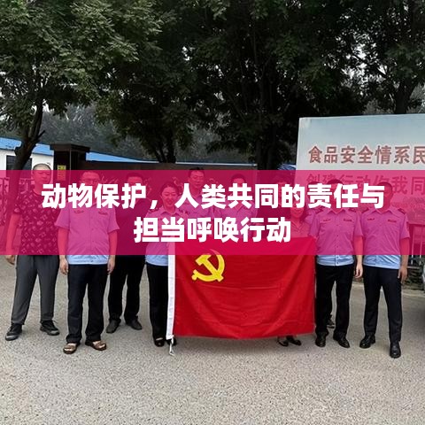 动物保护，人类共同的责任与担当呼唤行动