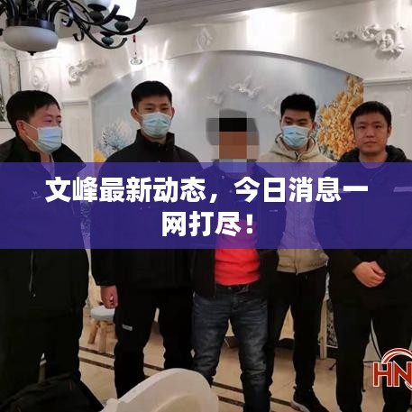 文峰最新动态，今日消息一网打尽！