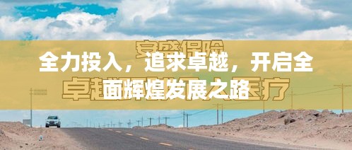 全力投入，追求卓越，开启全面辉煌发展之路