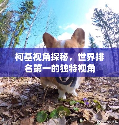 张口结舌