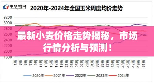 最新小麦价格走势揭秘，市场行情分析与预测！