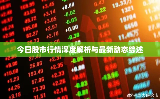 乌鸟私情