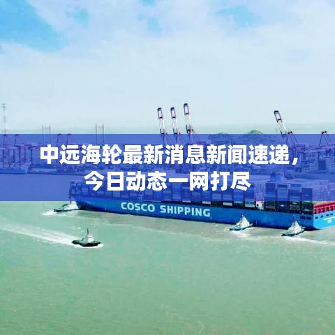 运输网络 第4页