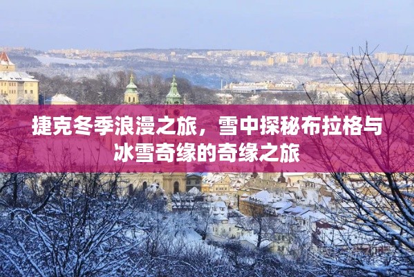 联系我们 第5页